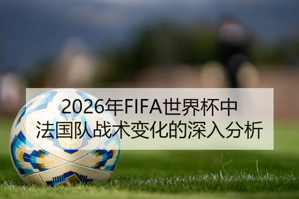 2026年FIFA世界杯中法国队战术变化的深入分析